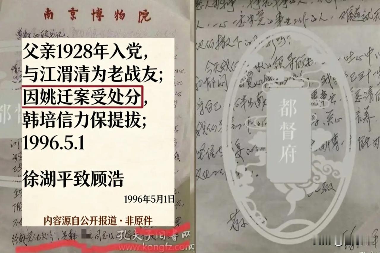 《徐湖平1996年亲笔信》揭示了权力庇护的危害——庇护权力破坏了正常的晋升规则，