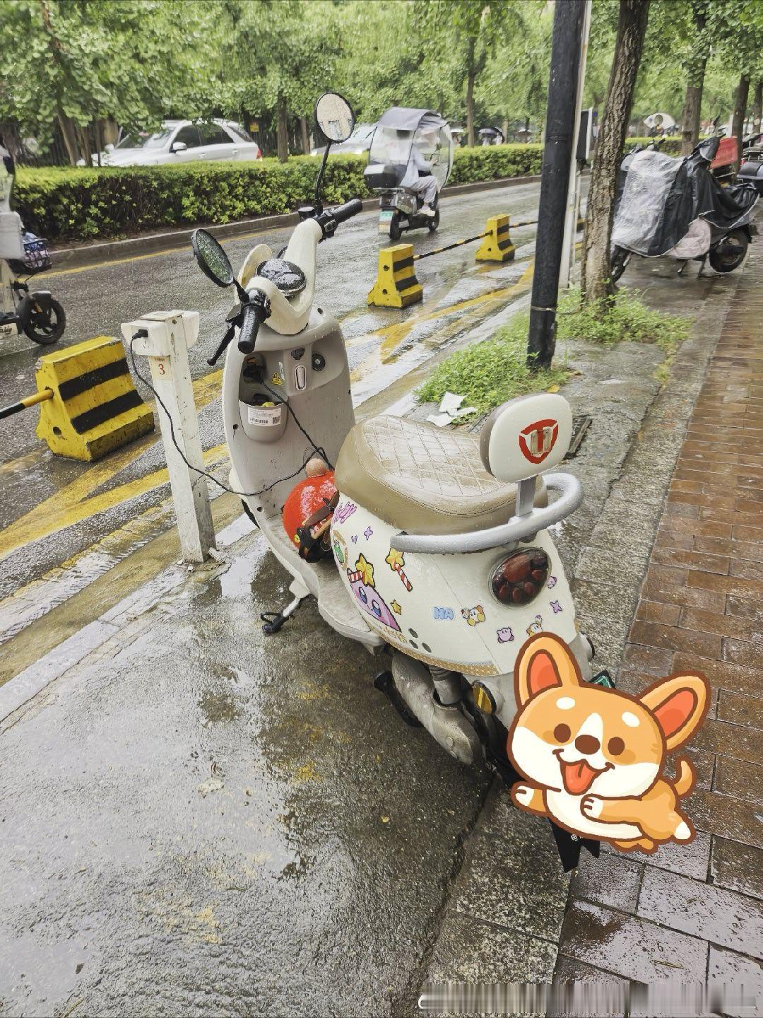 猫爸把🛵扔外面充电 明明有雨罩也不罩。车子就这样淋一晚上……