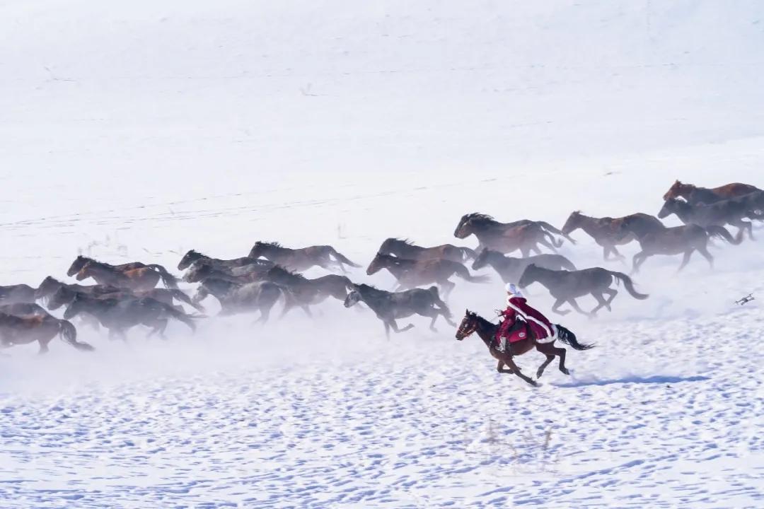 让人揪心！46岁的女干部贺娇龙意外坠马离世前，她通过直播帮助农民销售农产品已有5