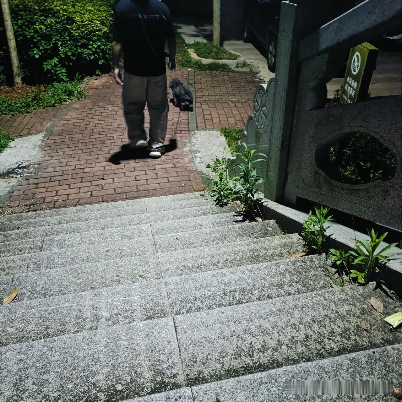 我非常反感人类称狗子为“儿子”，这是一种不道德的称呼。

随着社会经济的发展，现