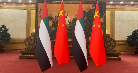 成了，阿联酋答应中国！北京时间4月14日上午，阿联酋阿布扎比王储哈立德终于见到了