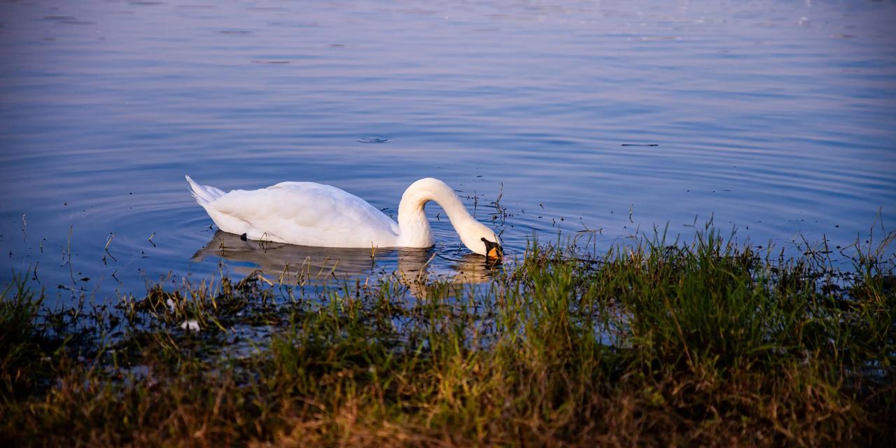 现在人人手机不离手，刷短视频一刷就是半天，时间像沙子一样悄无声息地溜走。很多人沉