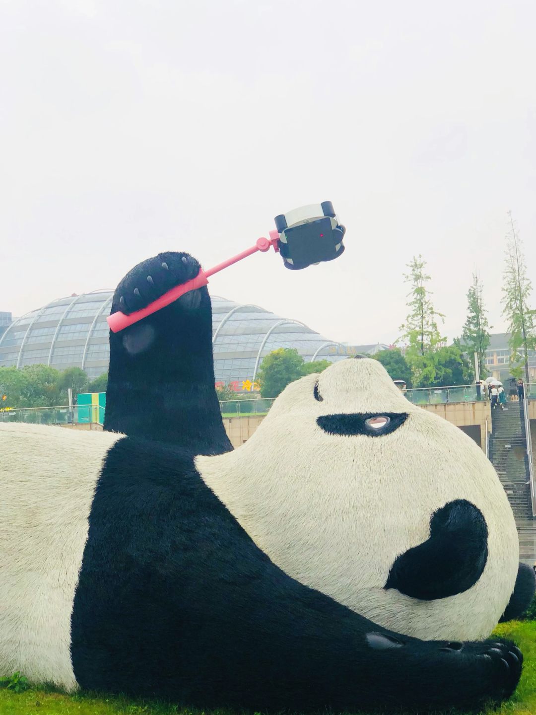 带娃成都之旅，我真的很后悔很后悔……