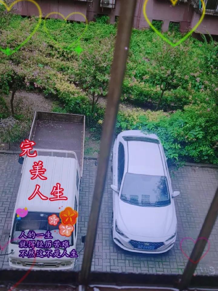 晒图笔记大赛友友们早上好！这两天天气预报的真准，昨晚上下了一整晚，今天天气还是阴