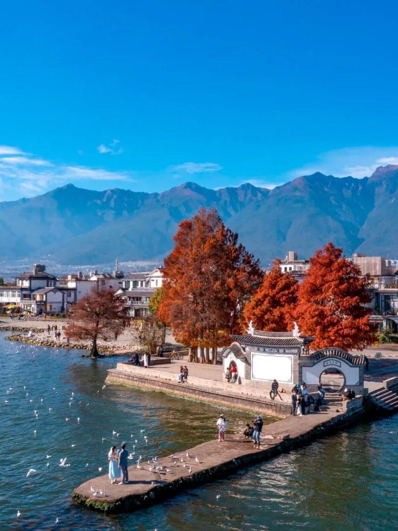 云南大理之旅
踏上云南大理的土地，仿佛走进了一幅诗意的画卷。

苍山巍峨，连绵的