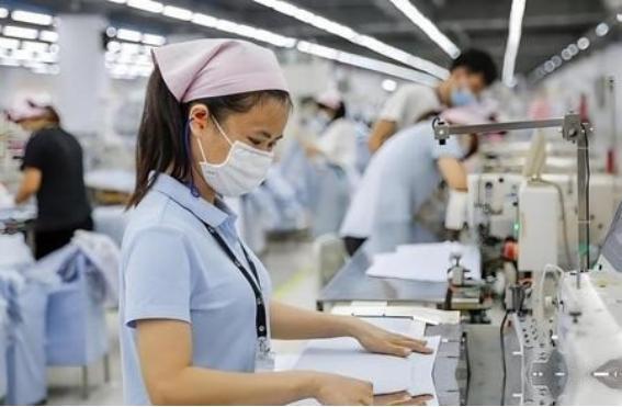 整个中国外贸圈正面临一场令人窒息的集体沉默，因为欧盟已经把一把极其锋利的刀架在了