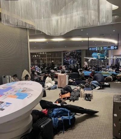 “求救！被困北海道机场，急求国家派包机接我们回国！”最近，互联网上的一些声音，让