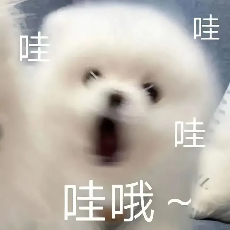 把考研当作乙女游戏也太爽了吧