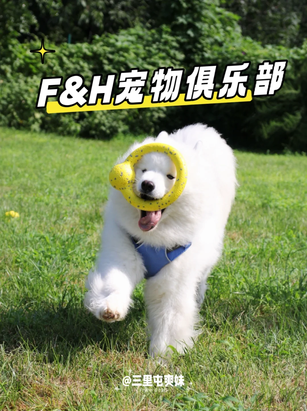 属于小狗的民宿