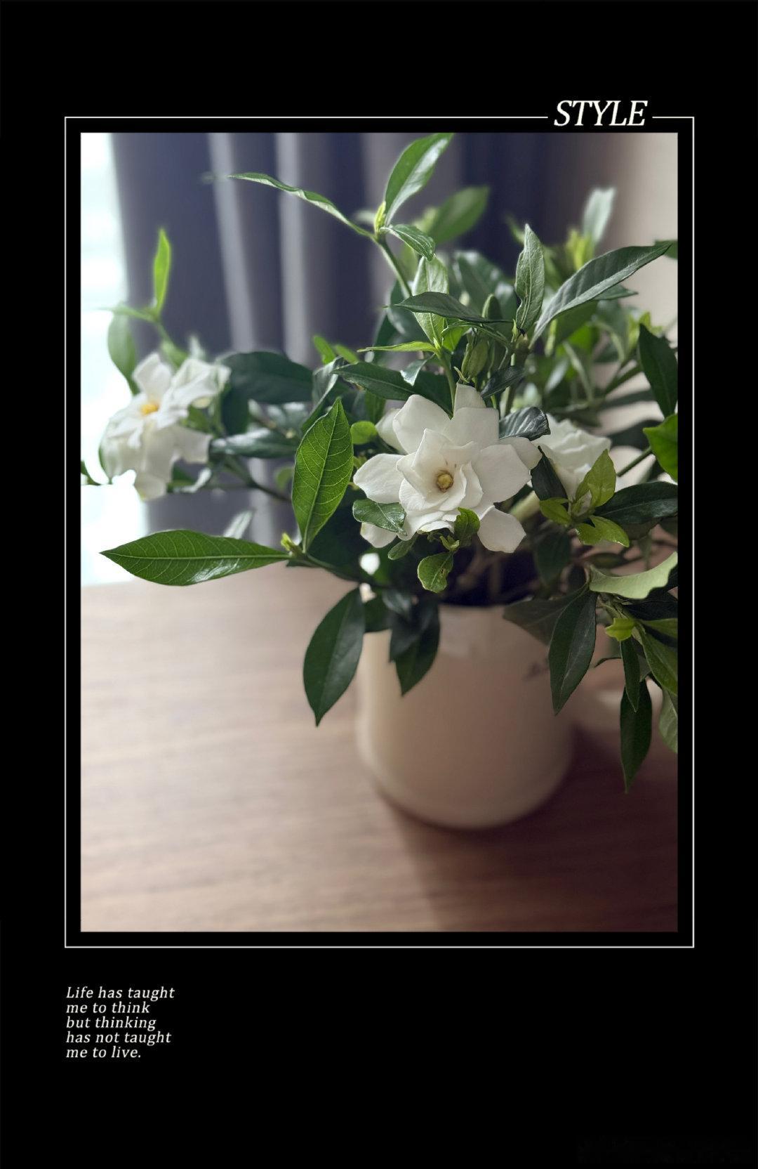 晚安 
