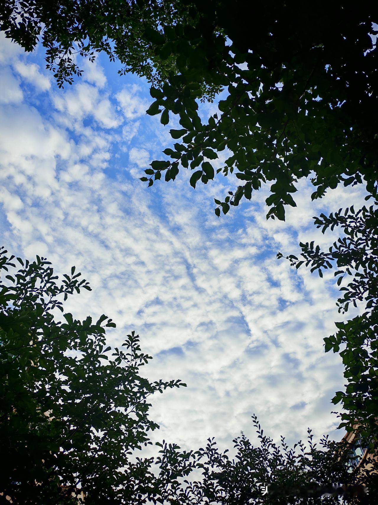 夏日生活打卡季