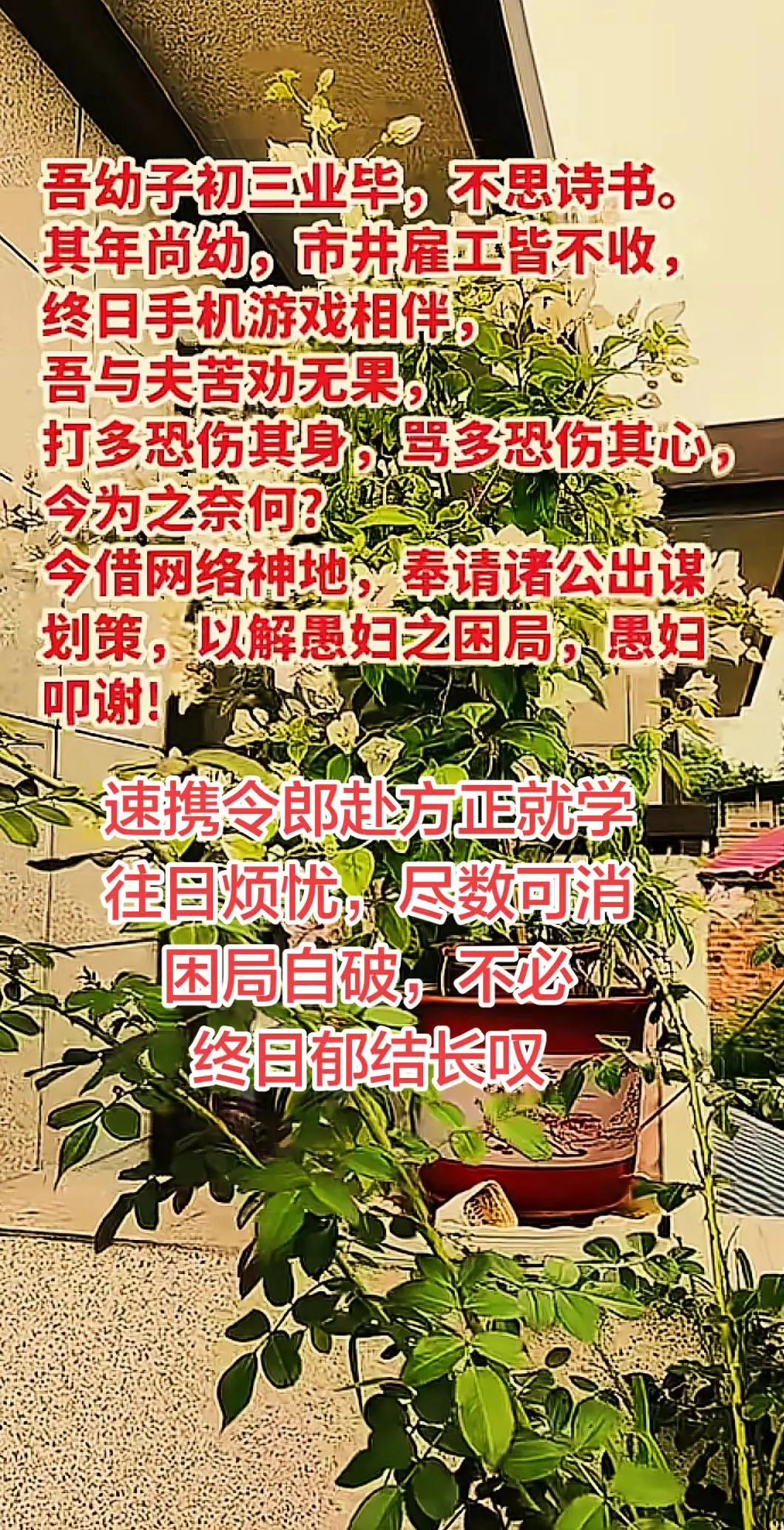 初中和高中毕业，大学在读回家，家长开心吗。豫南信阳有信阳方正电脑会计学校 ，专收