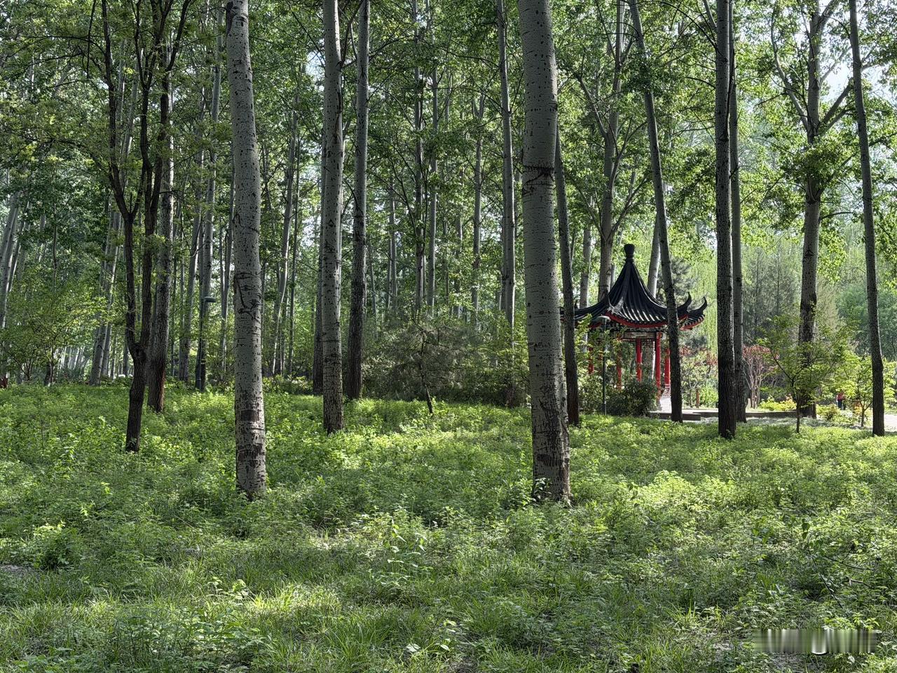 老年生活感悟：往后余生，不争对错，只图舒心。

人到晚年，走过半生风雨，早已明白