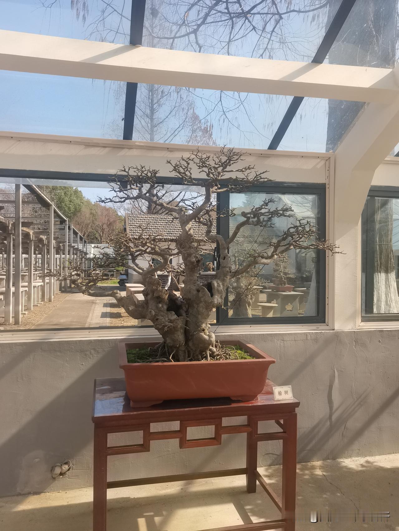 退休以后最大的感触就是一年一年过的太快了

年过完了，随之而来的是二月份也快过去