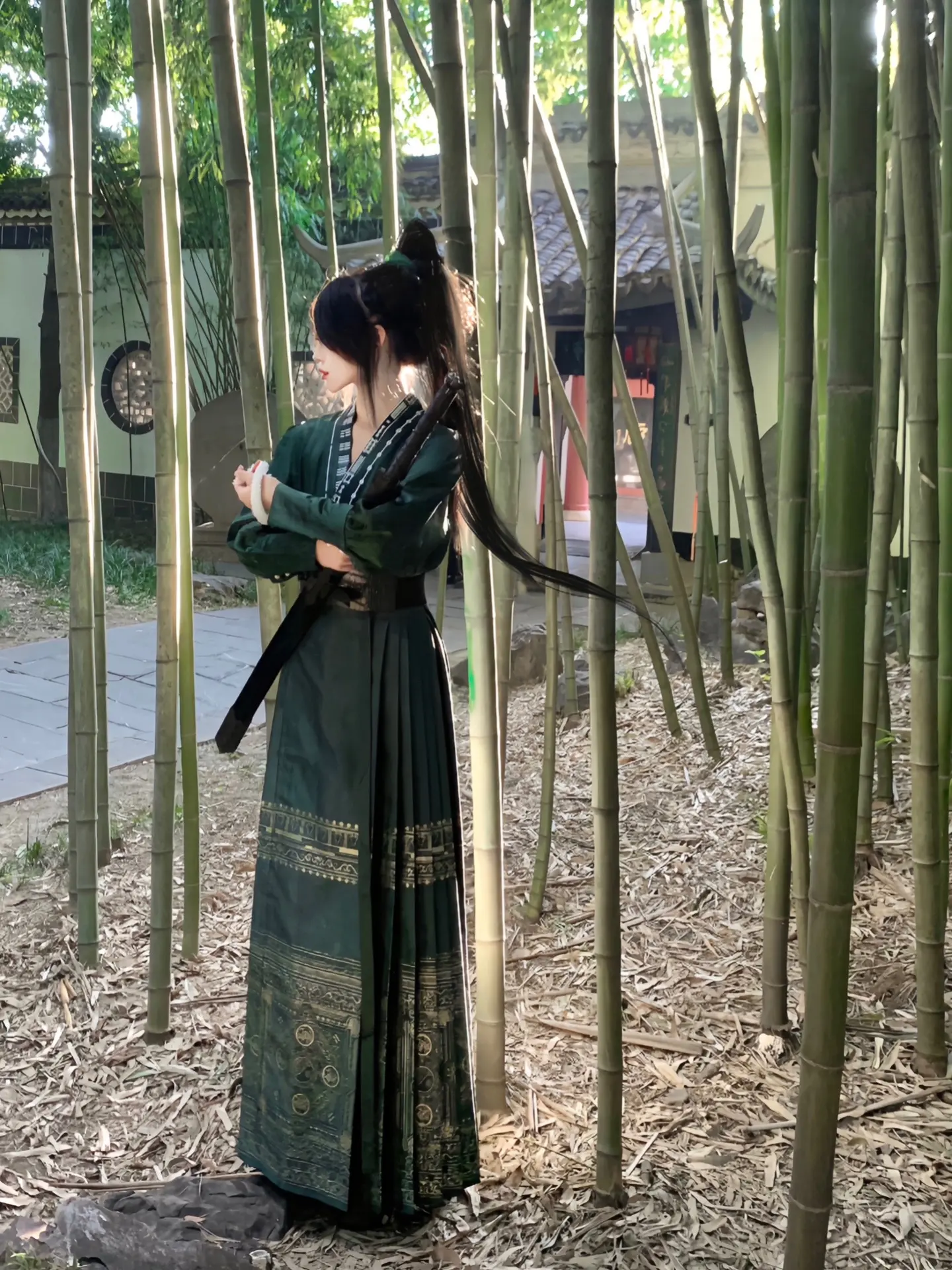 姐姐 这次换小青护你。