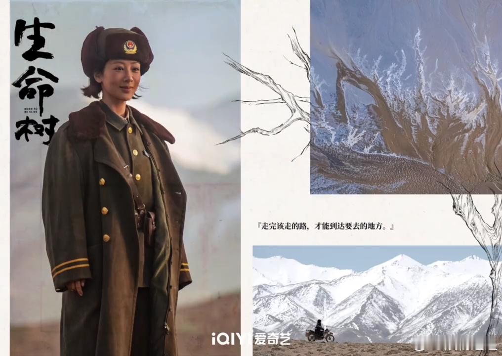 杨紫白菊记录杨紫白菊旁白 ​​​满意 ​​​