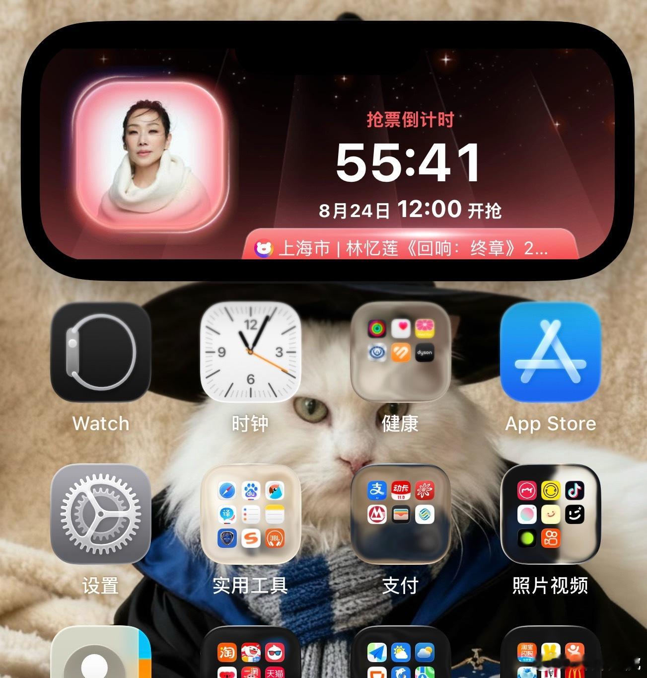林忆莲  紧张了 