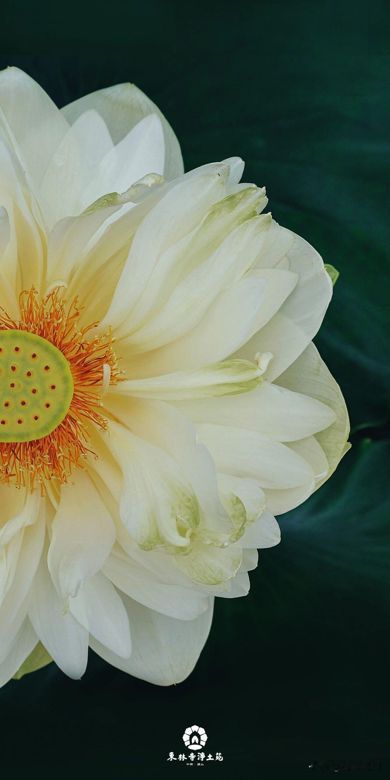 最佳的选择
《论语》讲“里仁为美，择不处仁，焉得知”。孔子说：若要选择一个住处，