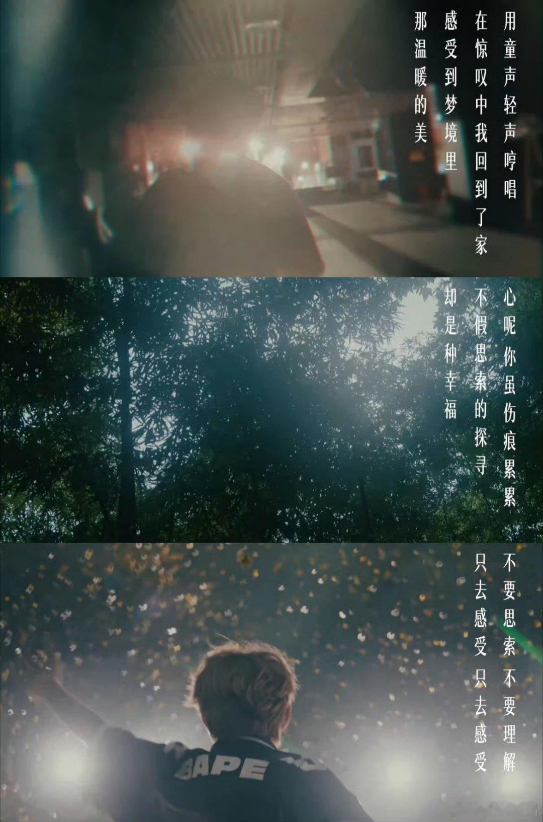 “永远去下一场”这句话后劲十足。鸟巢是一路追梦交出的答卷，而王源从不止步于此，告