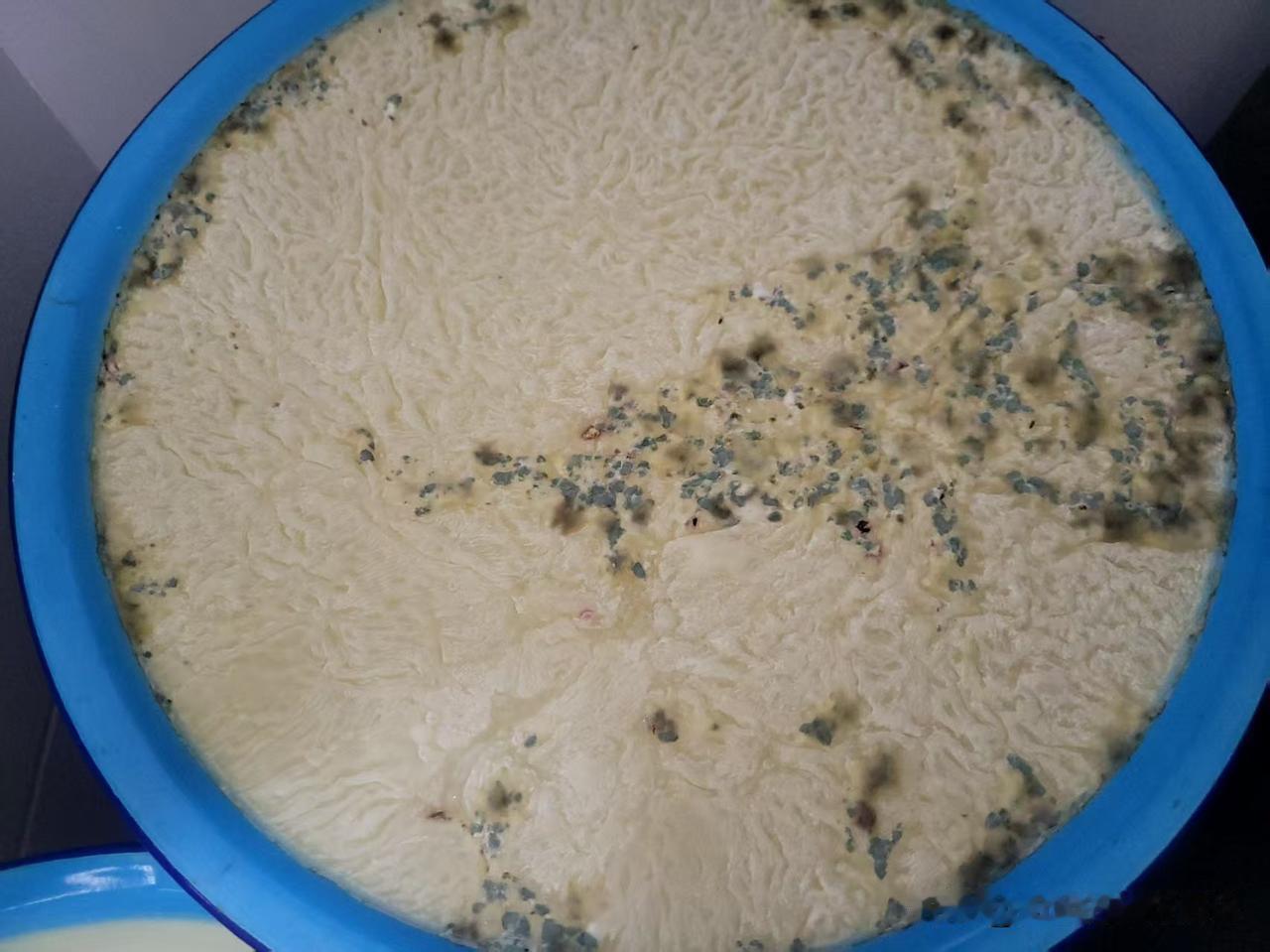 这是我娘家姐姐去年泡的江米包的粽子，姐姐把江米泡了十多天，中途没有换水，包出来的