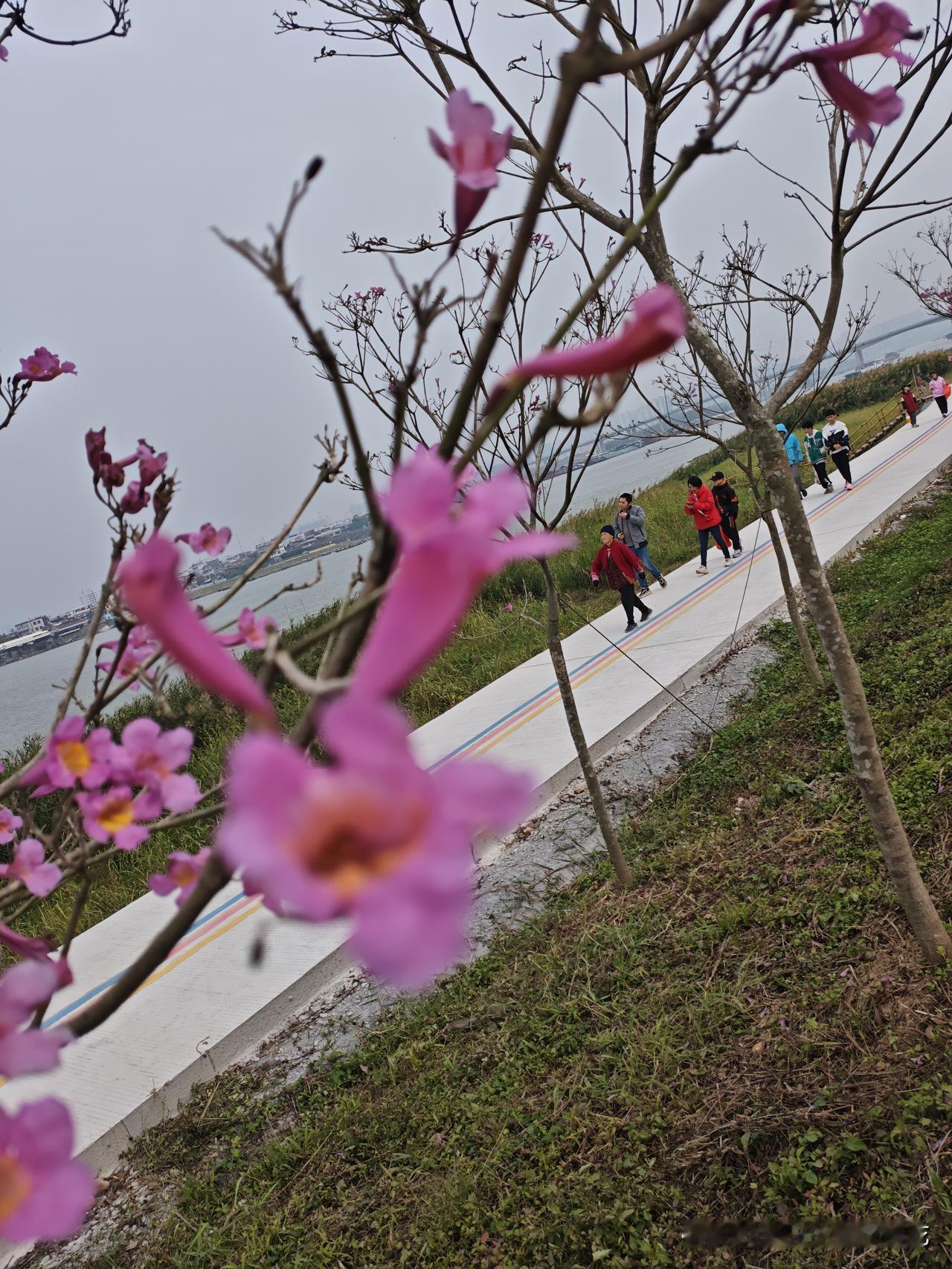 婆婆能和亲妈一样对待吗？
这是大多数儿媳妇之间的问题。
我和婆婆，一直相处同一屋