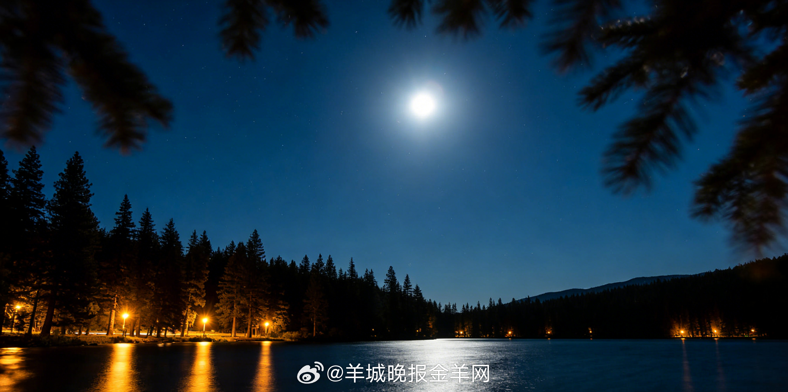 #晚安#不硬撑、不攀比、不勉强，把自己照顾好，把日子过踏实，才能有所收获。 