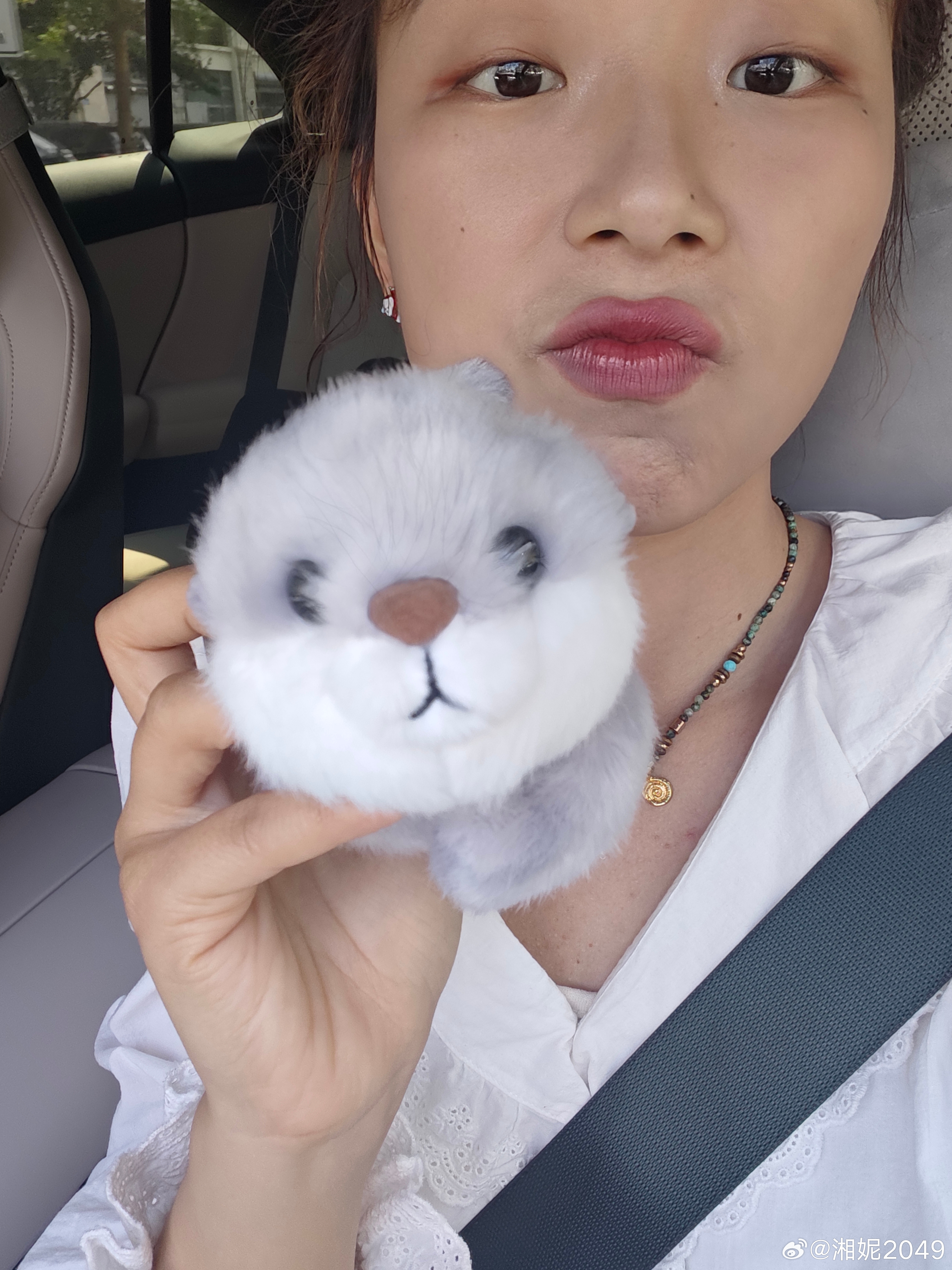 我的獭獭已上车