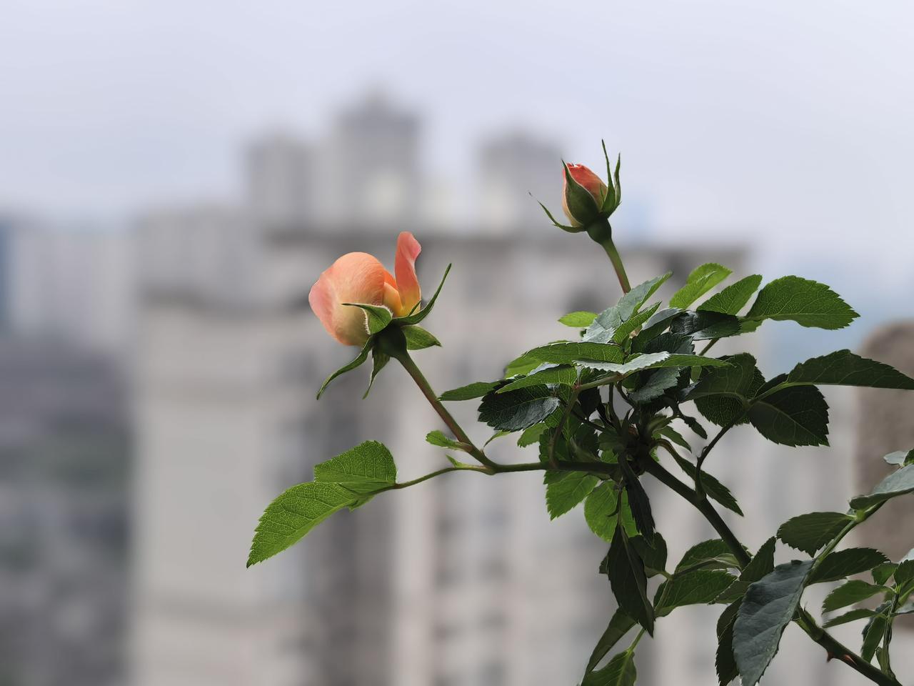 生活里总有那么一个瞬间，或许是一句随口的话，一个猝不及防的动作，一个再自然不过的