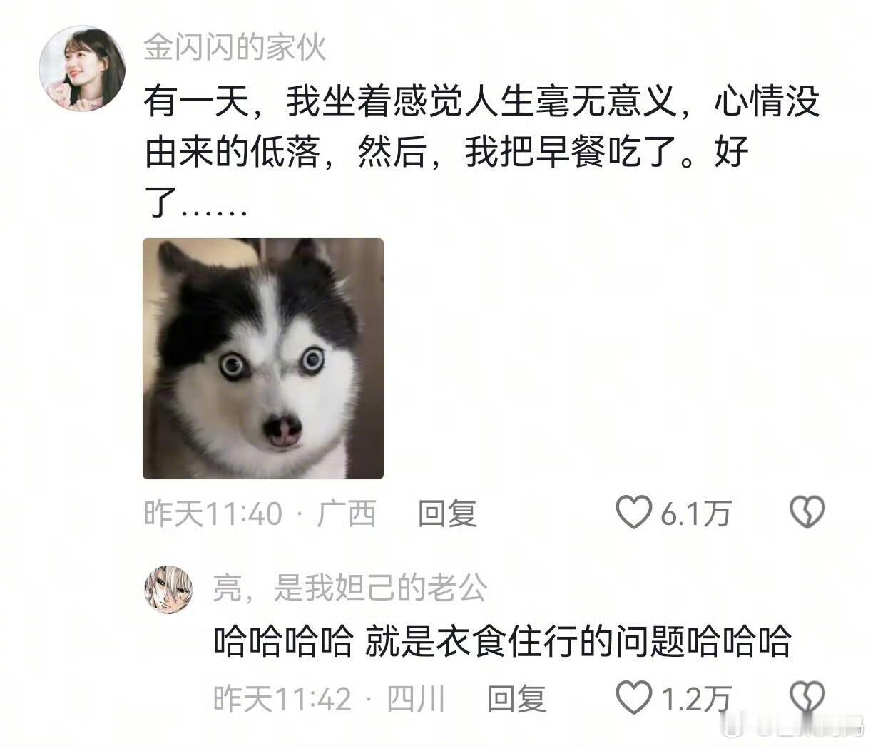 原来人的底层代码真的很简单！ 