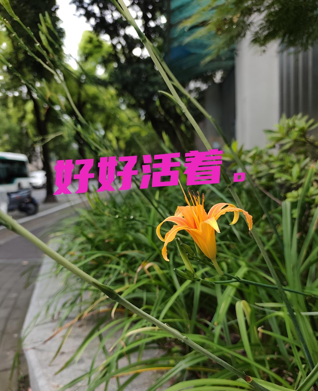 晚期就意味着不能好了吗？
这个都是那些专业人士固定的术语。这些话把多少刚确诊的癌