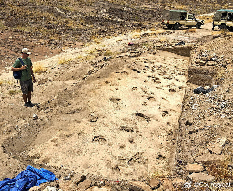143万年前脚印揭开远古人类秘密！研究称“鲍氏傍人”身材高大，成年雄性或结伴行动