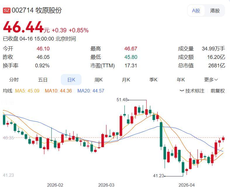 A股赴港上市潮汹涌！一季度15家A股公司赴港IPO，贡献港股过半募资额！ 4月1