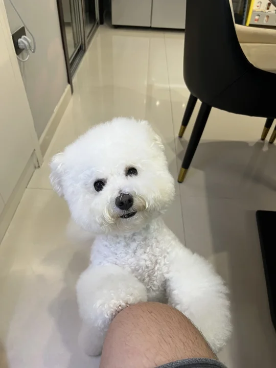 这让我有点两难了