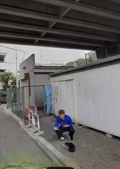 【悲报】不良少年喂猫被谷歌地图拍到了 