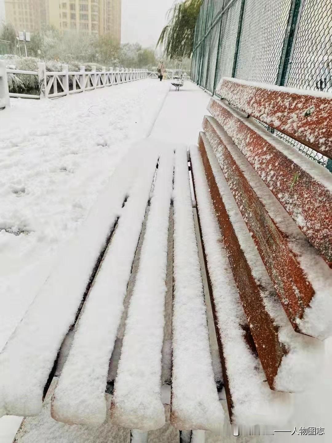 冬日生活打卡季