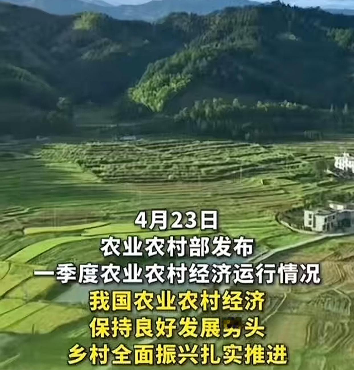 开局之年看三农，
实实在在的变化就在身边

看到三农发展“三好”的内容，心里特别