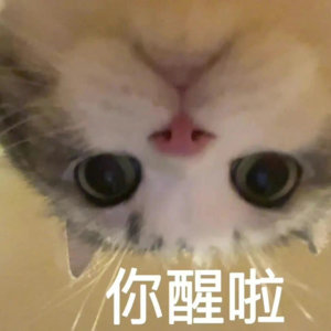 艹打车去上班，睡着了，车摇摇晃晃的，我做梦梦到地震，差点想开门跳车。。。。 