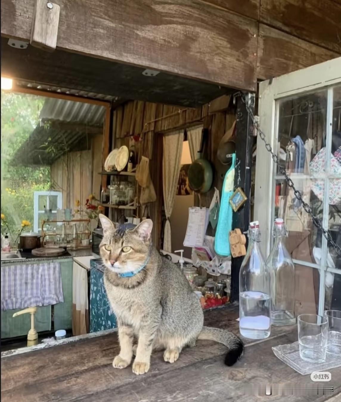 木屋里的幸福时光乡间木屋