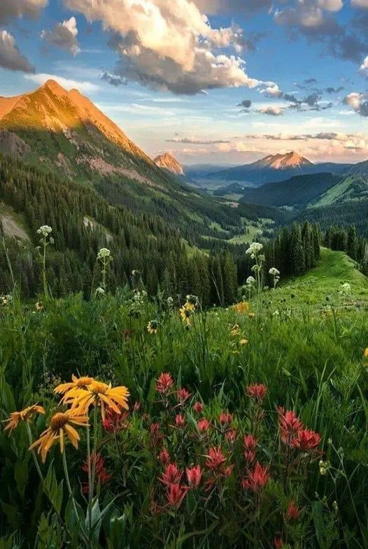 美图欣赏——山谷绿色风光