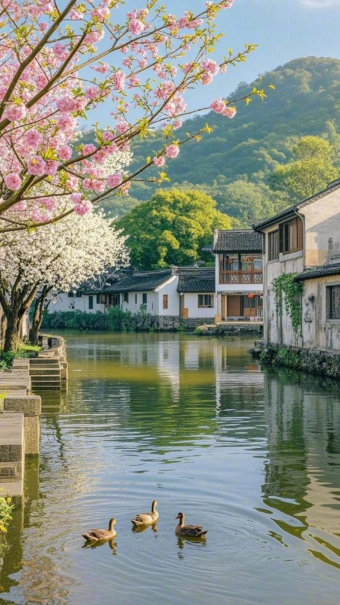 ​​“汀花雨细，水树风闲。” ​​​