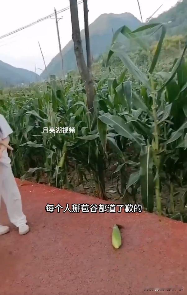 这事谁有理？湖北，一名女子带着孩子来游玩，看到路边苞米地的苞米不错，就掰了一根，
