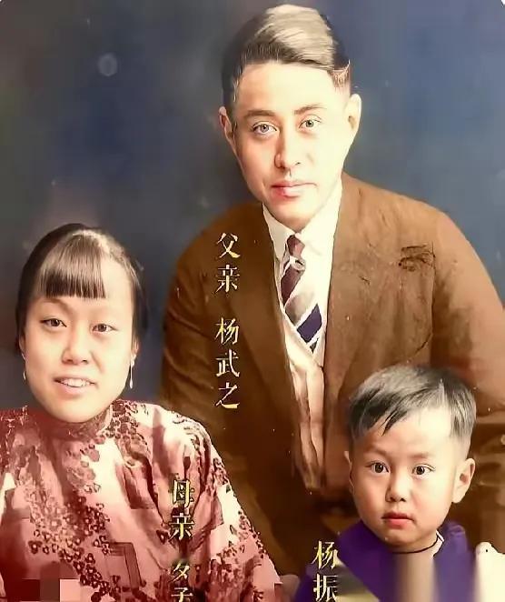 看杨老的眼睛，没有事故，一直都是率真质朴，纯净如水，一个温暖有爱的大家庭，才能让