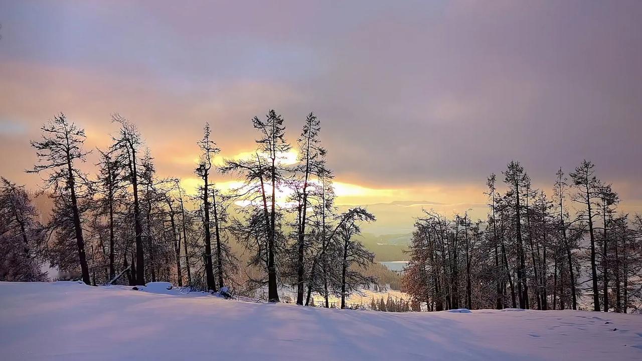 在广袤的高原之上，雪花纷纷扬扬地飘落，似精灵舞动，为雄浑的大地披上了一层洁白的银