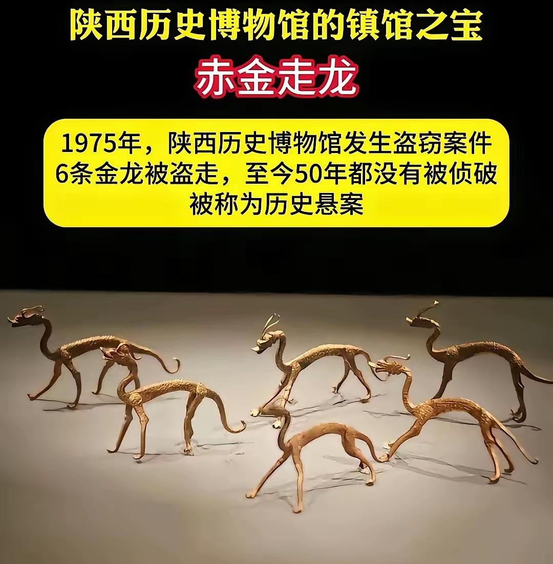 75年，陕西博物馆失窃的6条金龙，很多人怀疑是内部人员监守自盗的行为，但没有证据