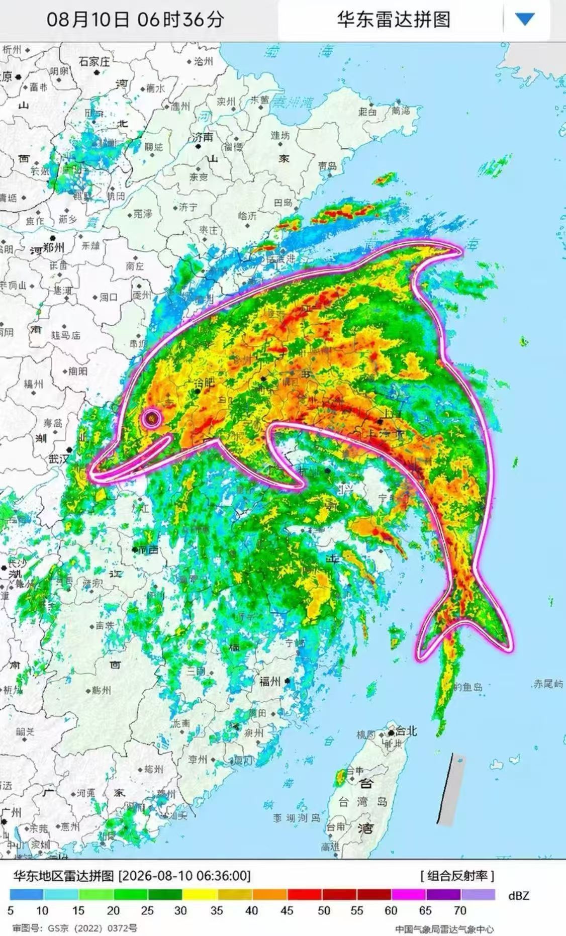 上海变海上为啥叫白海豚？ 