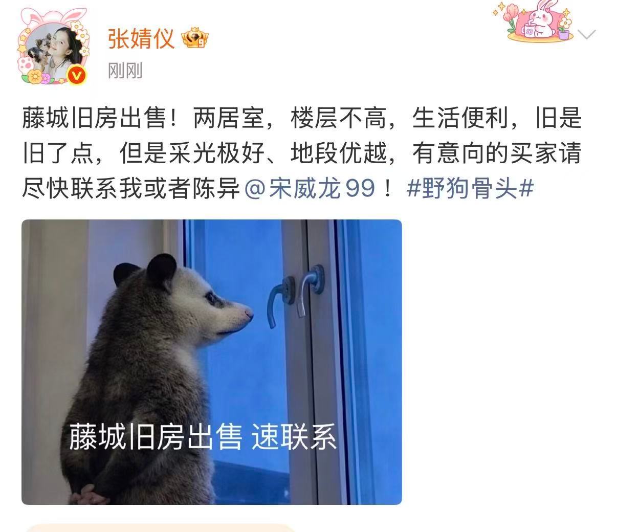 张婧仪苗靖在线卖房张婧仪艾特宋威龙卖房宣传想和你俩当室友 