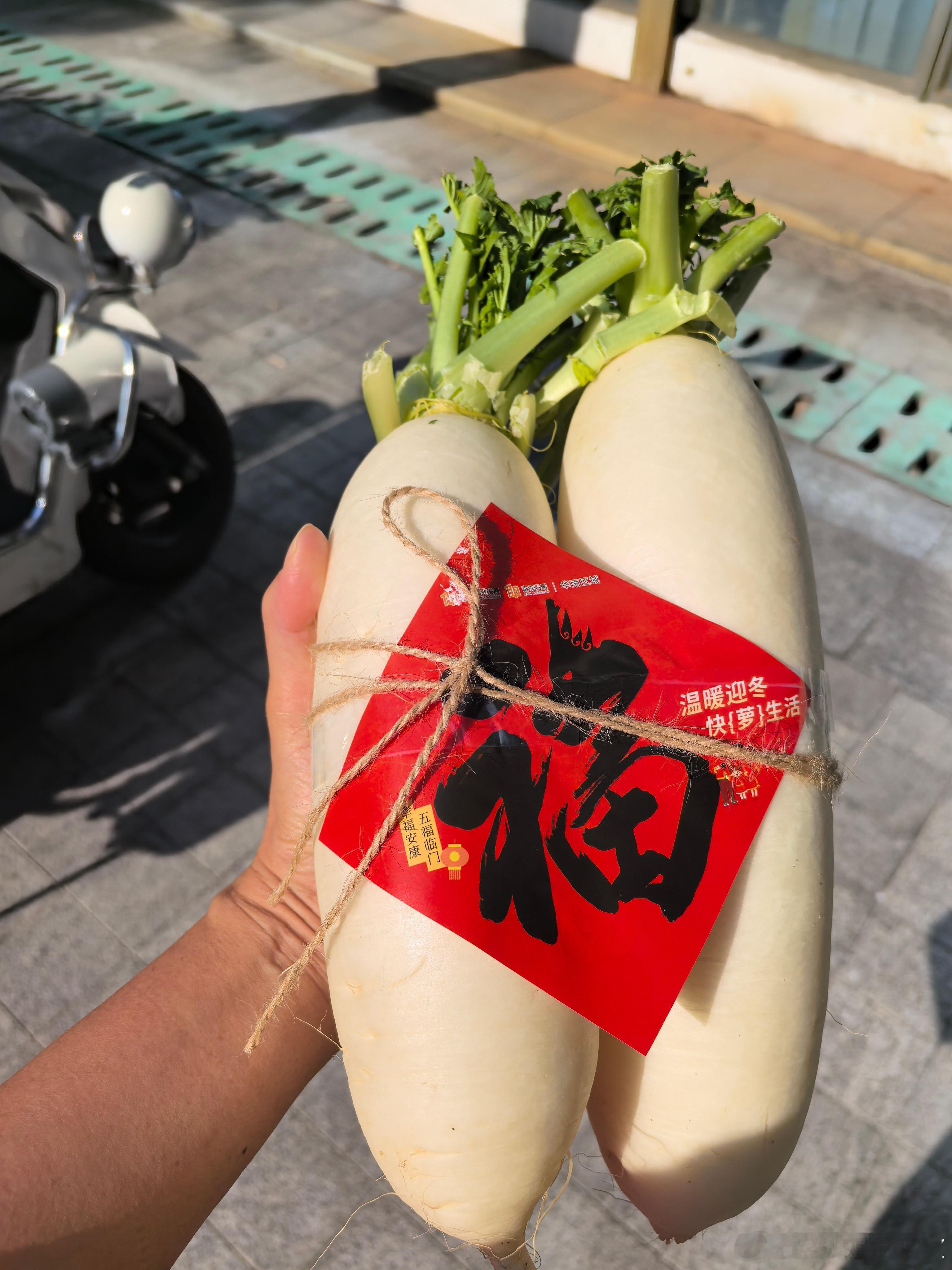 买了10年的小区，偶尔回来度假，这次首次遇到了物业搞活动，送萝卜，取粤语萝与乐同