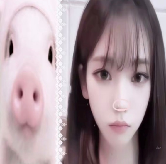 微微一笑很纳尼[费解] ​​​