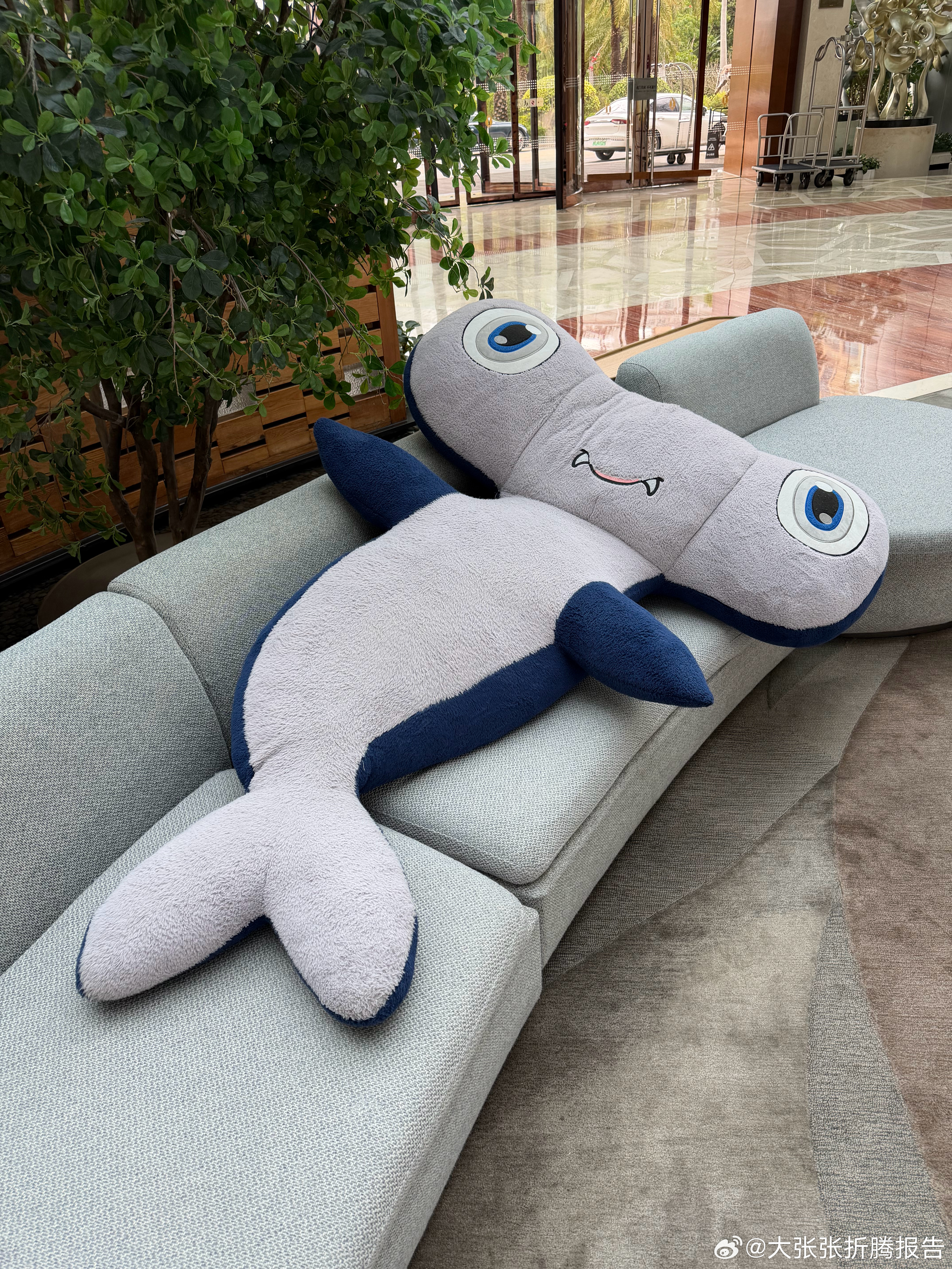 有谁玩潜水员戴夫没被这家伙锤过的么