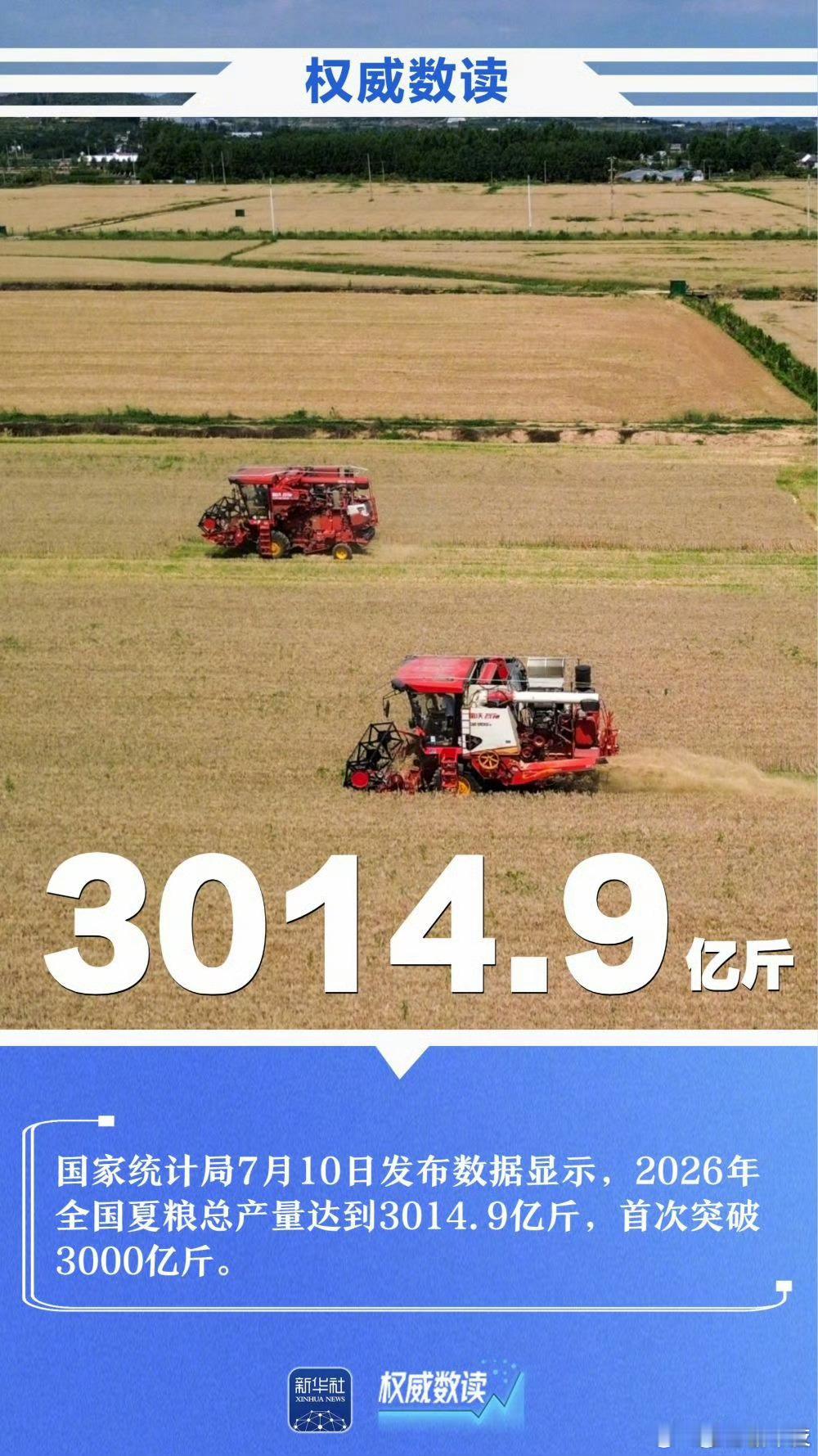 夏粮产量首破3000亿斤厉害了今年我们这儿粮食收成不太好，那半个月一直是连阴雨，